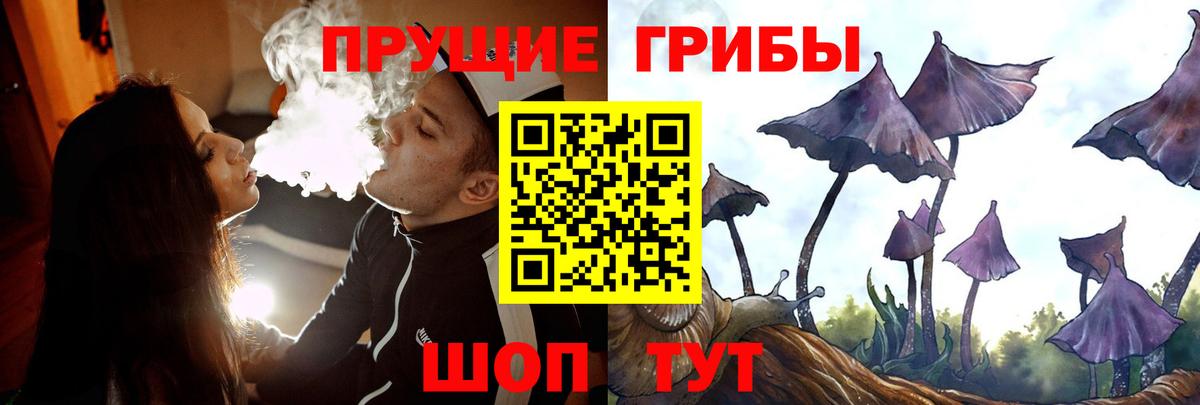 Красногорск  Галлюциногенные грибы GOLDEN TEACHER  Псилоцибиновые грибы мицелий  наркотики  Вход с VPN 